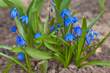 Similar image 625555