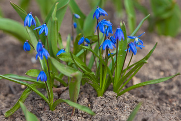 Similar image 625556