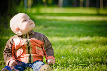 Similar image 625619