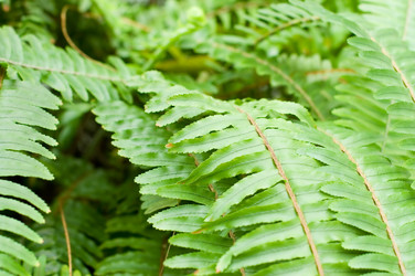 Similar image 625622