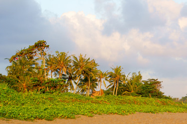 Similar image 625644