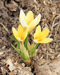 Similar image 625708