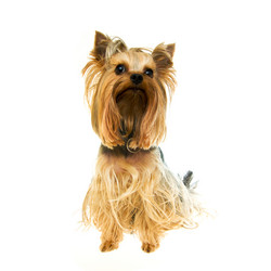 Similar image 625776