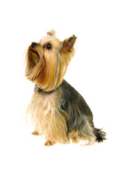 Similar image 625783