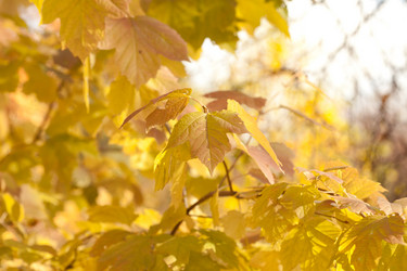 Similar image 625818