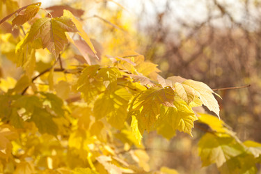 Similar image 625826