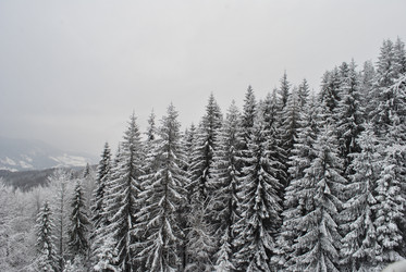 Similar image 625892