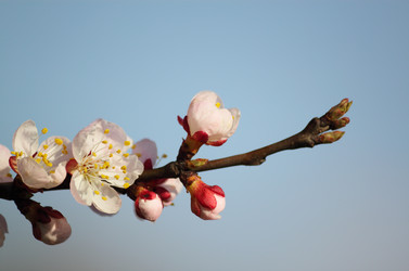 Similar image 625894