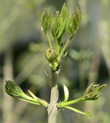 Similar image 625895