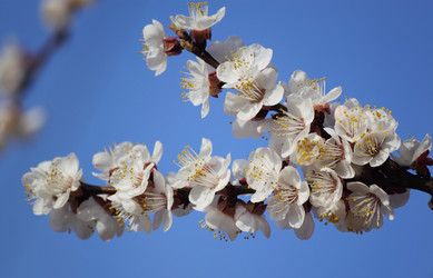 Similar image 625905