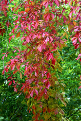 Similar image 625911