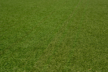 Similar image 625919