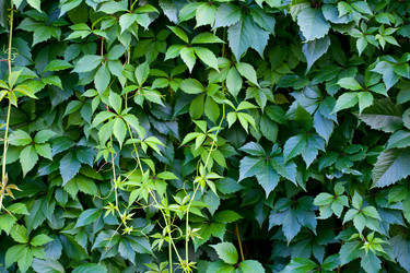 Similar image 625923