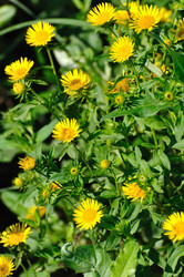 Similar image 626006