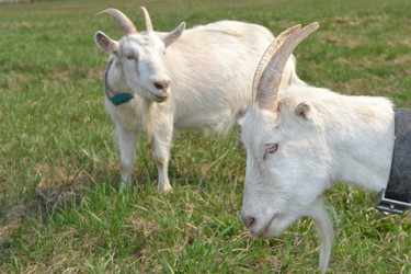 Similar image 626016