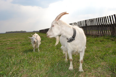 Similar image 626020