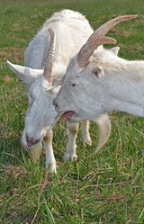 Similar image 626023