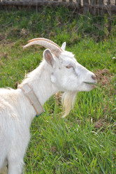 Similar image 626026