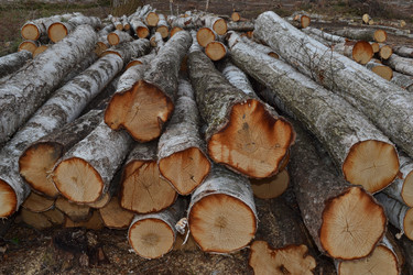 Similar image 626028