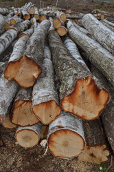 Similar image 626029