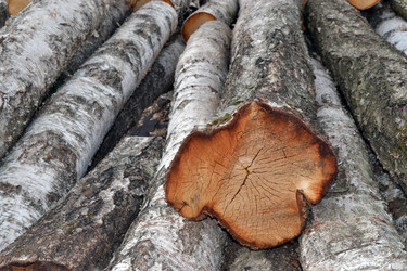 Similar image 626030