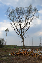 Similar image 626037