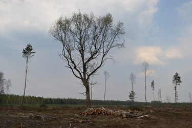 Similar image 626043