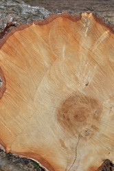 Similar image 626047