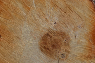 Similar image 626048