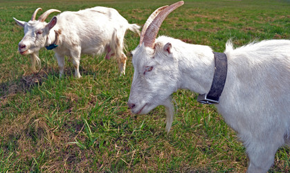 Similar image 626068