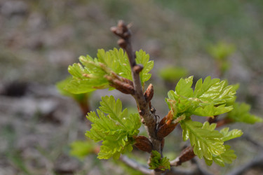 Similar image 626069