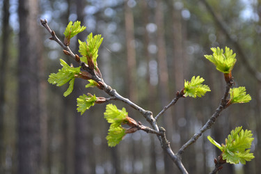 Similar image 626070