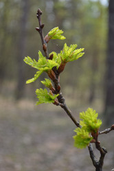 Similar image 626071