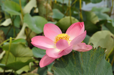 Similar image 626096