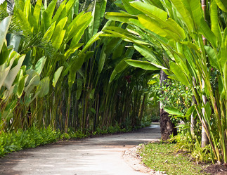 Similar image 626182