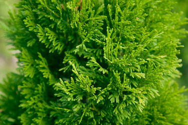 Similar image 626215