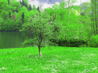 Similar image 626275