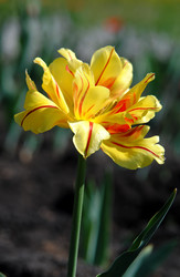 Similar image 626297