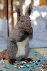 Similar image 626303