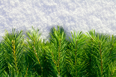 Similar image 626338