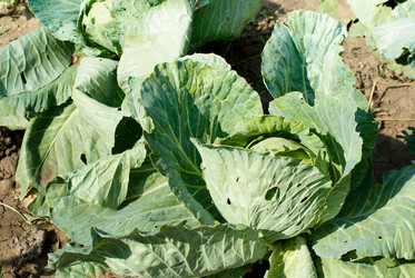 Similar image 626511