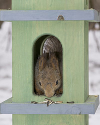 Similar image 626512