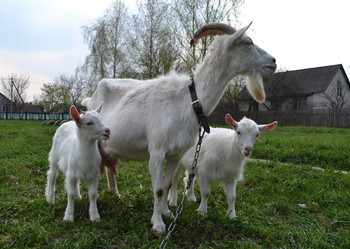 Similar image 626552