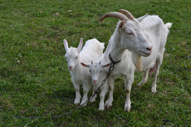 Similar image 626557