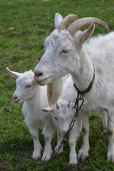 Similar image 626560