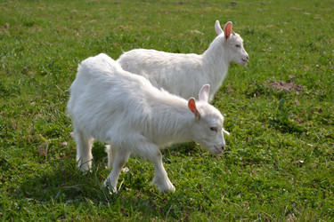 Similar image 626571