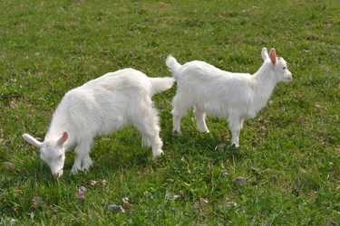 Similar image 626573