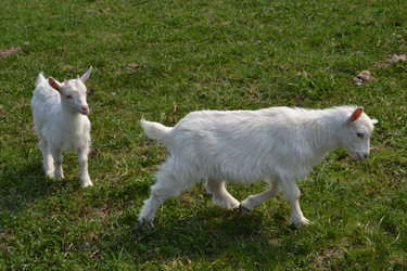 Similar image 626574