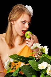 Similar image 626617