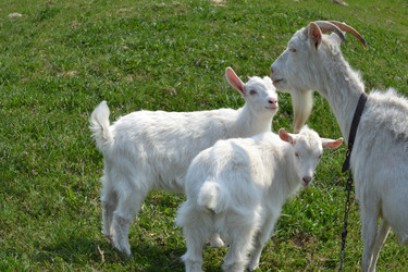 Similar image 626621